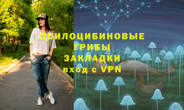винт Аркадак