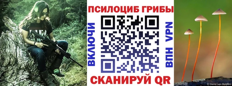 Галлюциногенные грибы Magic Shrooms  наркота  Калач-на-Дону 
